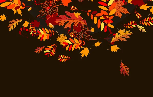 Картинка осень, листья, коллаж, вектор