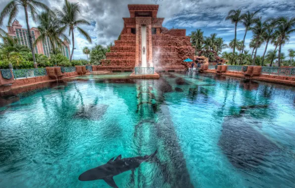 Картинка пальмы, акула, бассейн, Багамские Острова, Bahamas, Nassau, Нассау, Atlantis hotel