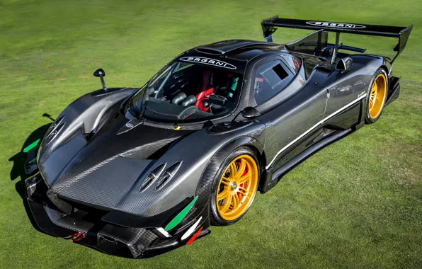 Pagani, Grass, Carbon, Zonda, Revolucion