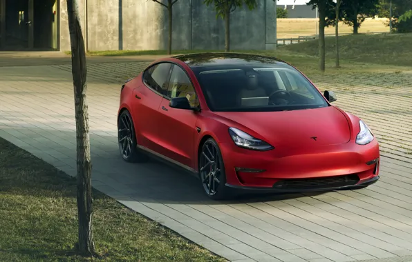 Tesla, Novitec, Model 3, 2019