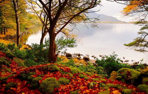 Картинка осень, листья, деревья, озеро, камни, гора.
