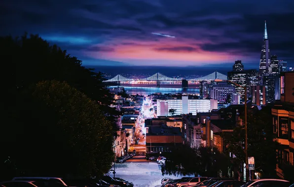 Car, city, lights, USA, sky, trees, bridge, night