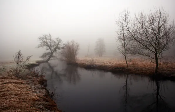 Картинка осень, вода, деревья, туман, отражение, речка, берега, сырость