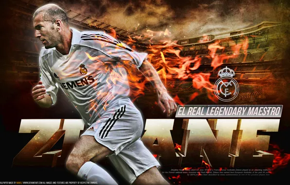 Legend, Football, Real Madrid, Soccer, Zinedine Zidane, Zidane, Zinedine, French