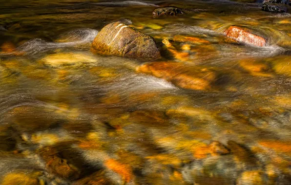 Картинка река, ручей, камни, поток