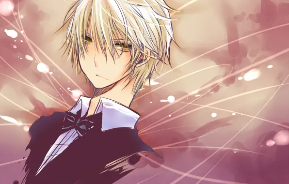 Фон, портрет, парень, Durarara, Heiwajima Shizuo, Дюрарара, Шизуо Хейваджима