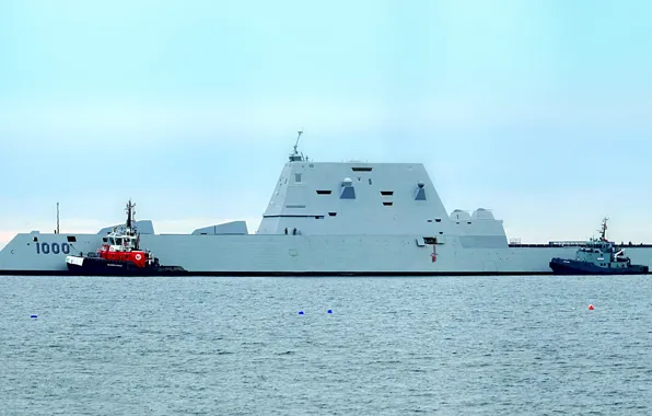 Эскадренный, миноносец, Zumwalt