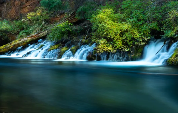 Река, растительность, Орегон, водопады, каскад, Oregon, Река Метолиус, Metolius River