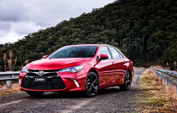 Картинка Toyota, тойота, камри, Camry, 2015, Atara