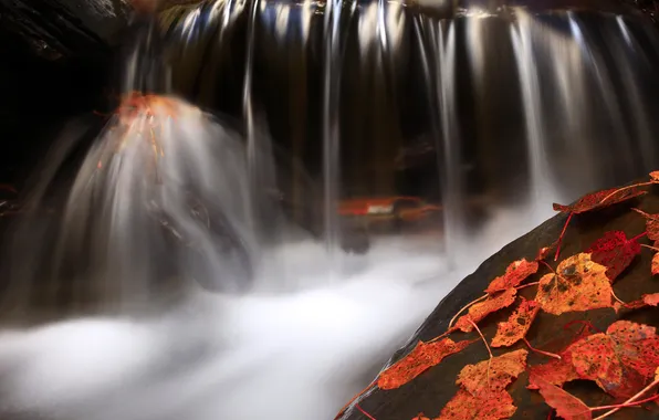 Картинка осень, листья, вода, камень, водопад, красные