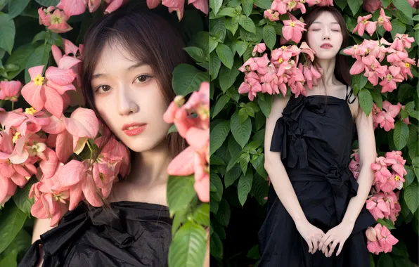 Beautiful, Asian, Model, Flowers, Woman, Cute, Pretty, Petite
