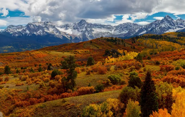 Осень, лес, горы, склоны, снежные вершины