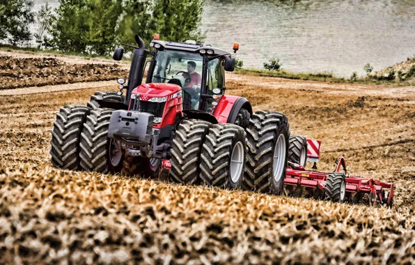 Поле, Трактор, Massey Ferguson, 2019, Калёса, Plowing field, MF 8737