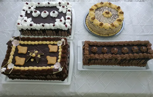 Cakes, biscuit, whipped cream