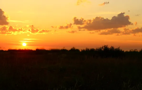 Солнце, рассвет, Красота, яркое небо