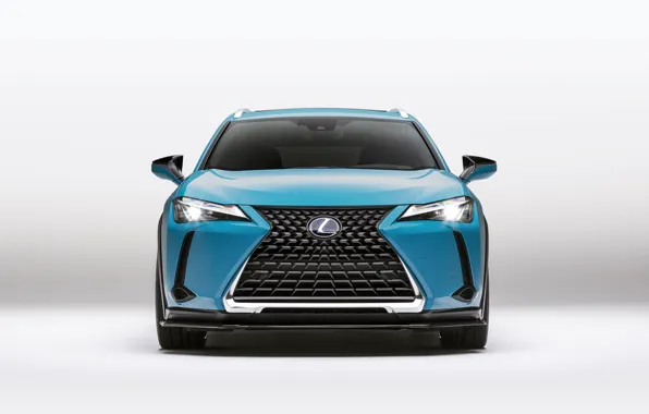 Lexus, 2018, кроссовер, Lexus UX, 250h, Customized Concept