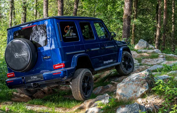 Картинка лес, синий, Mercedes-Benz, внедорожник, 4x4, G-Class, 2019