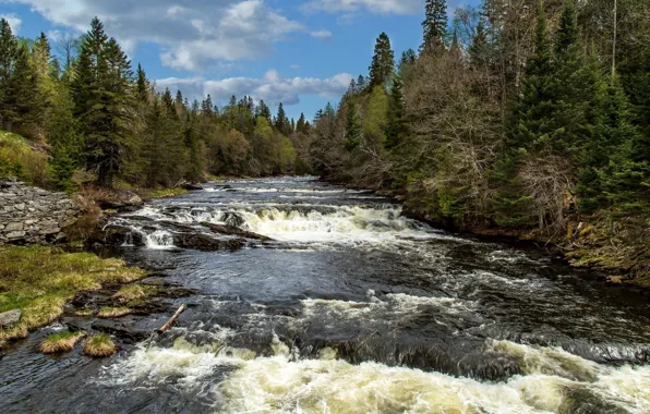 Небо, Река, Лес, Бурлящая вода