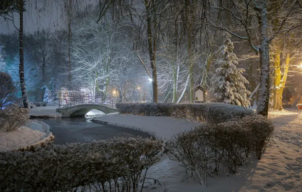 Картинка зима, снег, деревья, мост, пруд, парк, кусты