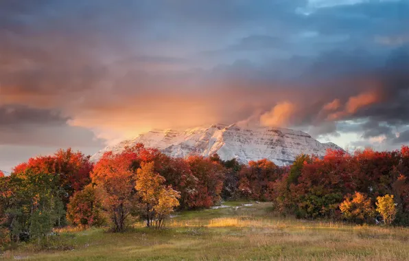 Осень, гора, Юта, США, Timpanogos, штат, горный хребет, Уосатч