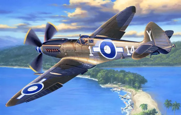 Картинка art, airplane, painting, Supermarine SEAFIRE Mk. XV