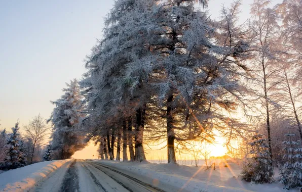 Зима, дорога, снег, утро