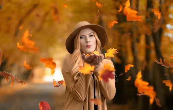 Картинка осень, листья, девушка, Maja