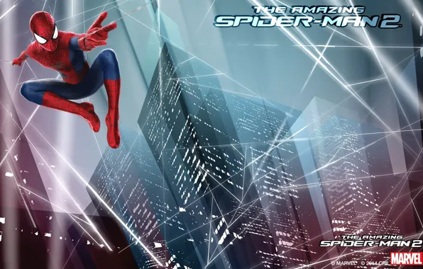 City, spider man, web
