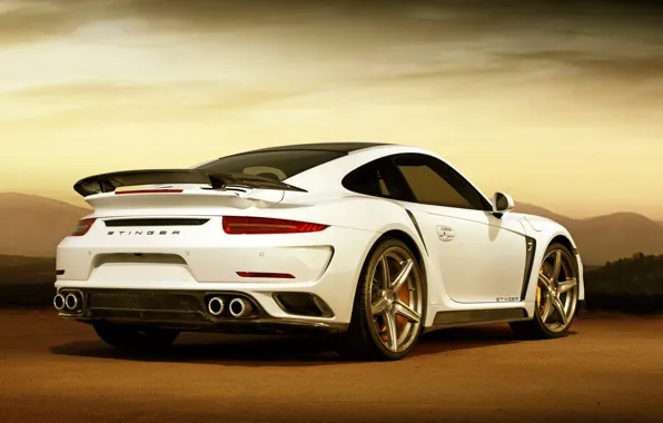 Картинка 911, Porsche, GTR, порше, Turbo, TopCar, турбо, Stinger