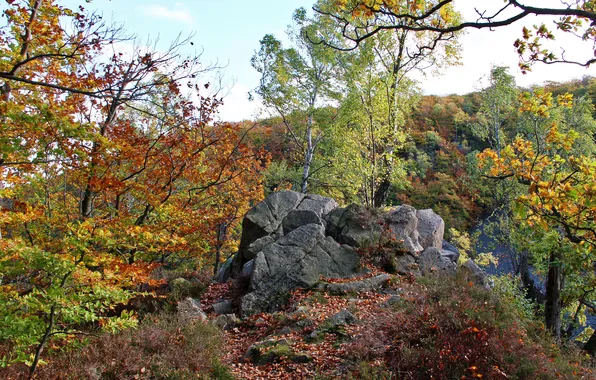 Картинка осень, небо, листья, деревья, пейзаж, горы, камни
