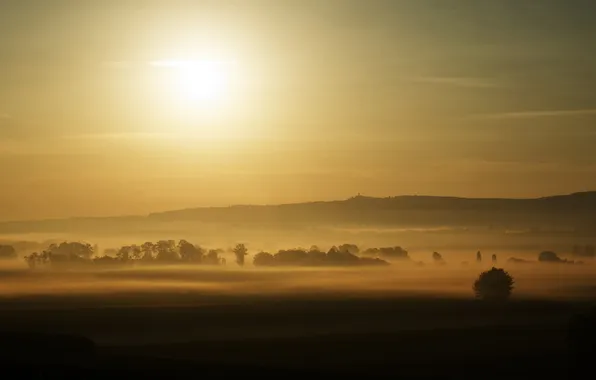 Картинка солнце, деревья, туман, рассвет, вид, поля, утро