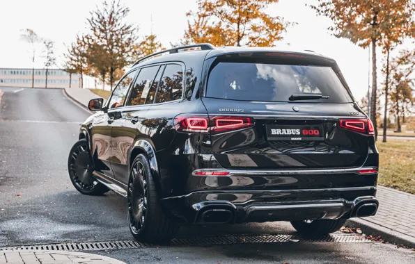 Mercedes-Benz, Мерседес, Джип, Mercedes, Brabus, Maybach, вид сзади, GLS