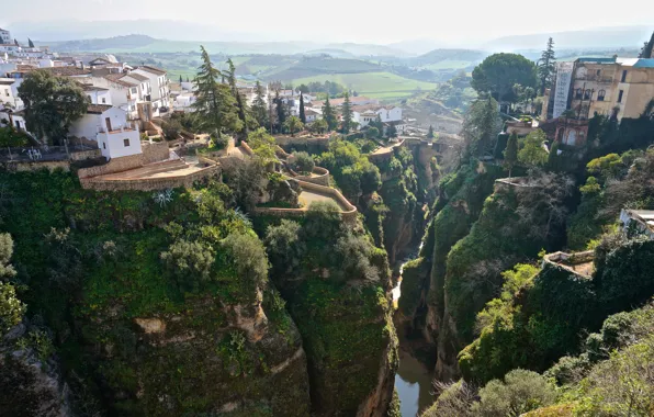Картинка trees, houses, Spain, homes, height, Ronda, Andalucía, river runs through it