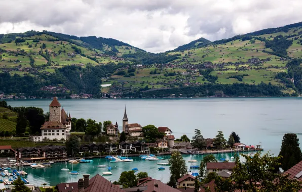 Горы, озеро, поля, дома, лодки, Швейцария, Grindelwald