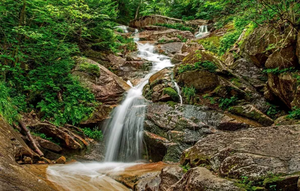 Зелень, Водопад, Камни