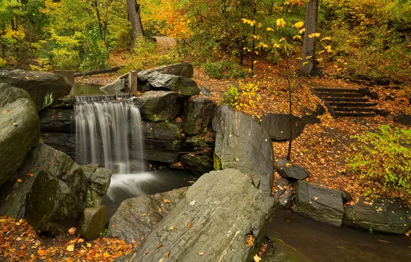 Картинка осень, листья, деревья, парк, ручей, камни, водопад, кусты