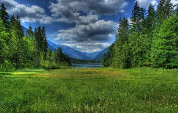 Картинка лес, трава, облака, горы, озеро, Германия, Бавария, Germany