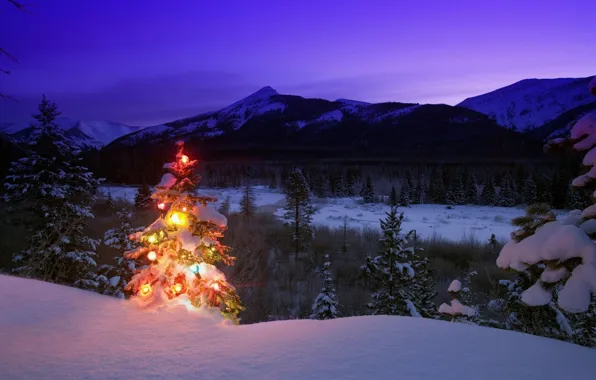 Картинка зима, снег, деревья, горы, природа, игрушки, елка, вечер