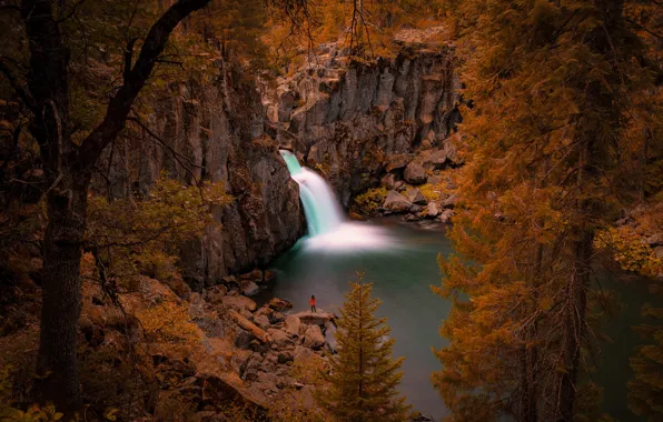 Картинка деревья, река, скалы, водопад, Калифорния, California, Upper McCloud Falls, McCloud River