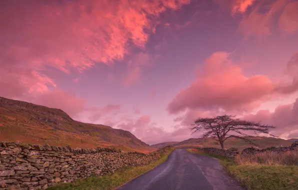 Картинка дорога, облака, дерево, Англия, зарево
