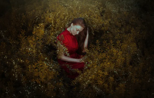Картинка лес, листья, девушка, цветы, волосы, красное платье, лежа