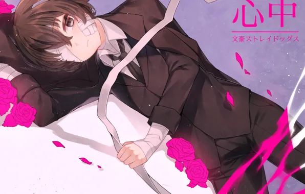 Розы, мальчик, пластырь, бинт, Bungou Stray Dogs, Бродячие Псы: Литературные Гении, Дазай Осаму