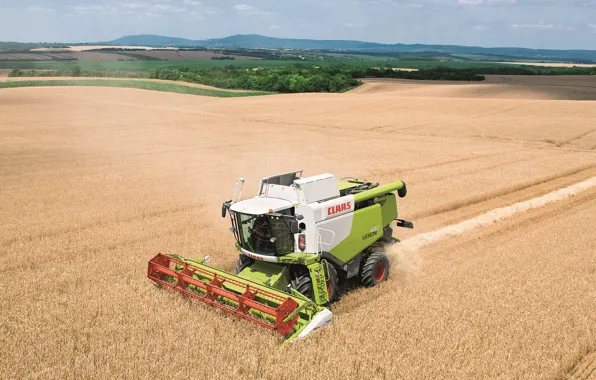 Поле, комбайн, Claas Lexion