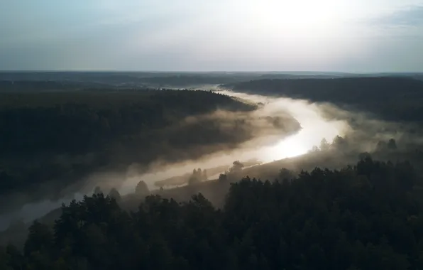 Nature, Wood, Sun, River, Fog, Trees, Nick Kulyakhtin