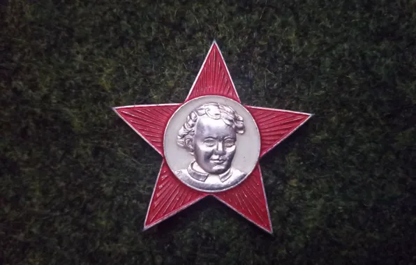 СССР, Володя Ульянов, Октябрятский значок
