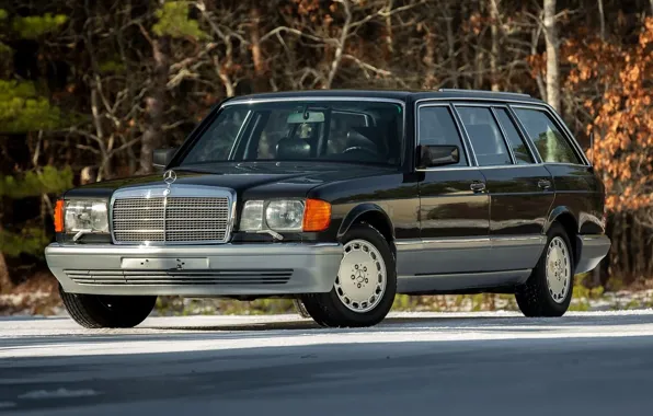 Картинка W126, ESTATE, Mercedec - Benz, WAGON, 560TE, S126