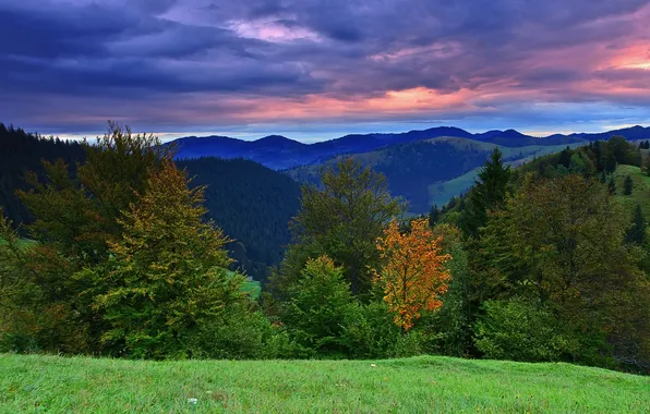 Картинка осень, лес, закат, природа, холмы, пейзажи, autumn hill