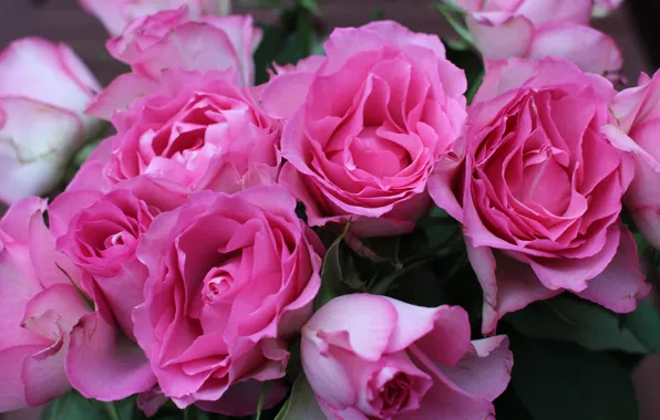 Картинка розы, букет, розовые, flower, pink, roses