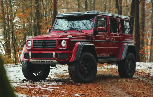 Картинка Mercedes - Benz, G500, G-Klasse, Mercedes 4x4, 4x4²