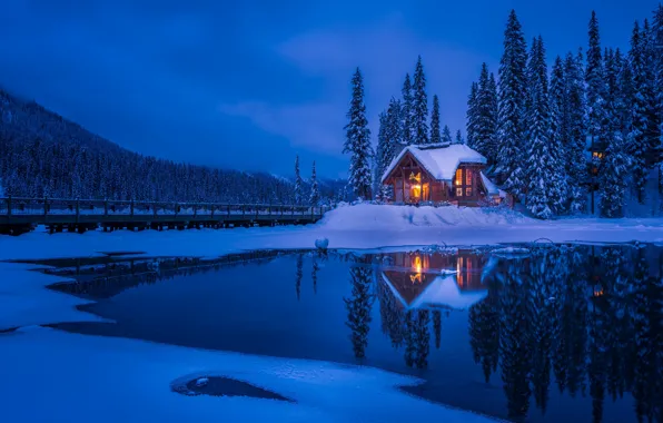 Winter, snow, forrest, lake house